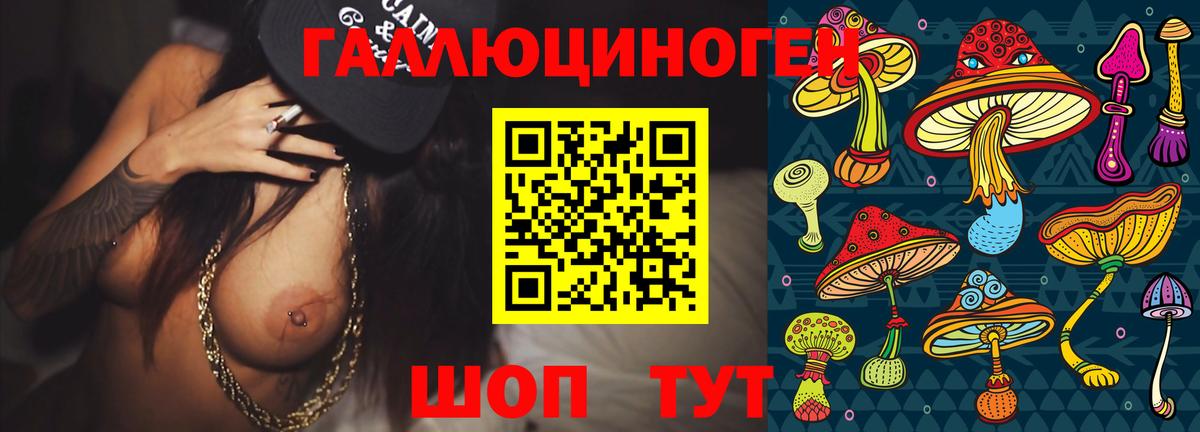 Галлюциногенные грибы Psilocybine cubensis  Вход с VPN  Новодвинск 